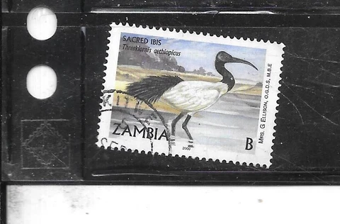 ZAMBIA SC#929 2001 OLD BIRD DEFINITIVE USED VERY FINE STAMP Cover