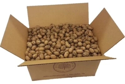 INSHELL Fresh Texas Pecans | 20 lb, 30 lb, or 50 lb Bulk | Millican Pecan