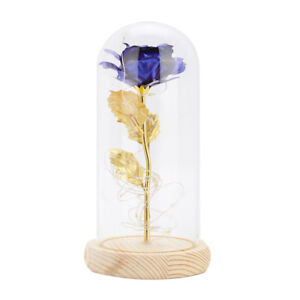 ewig Rose im Glas: LED Glühende Blume in Echtglas-Kuppel Jahrestag Geschenk DHL