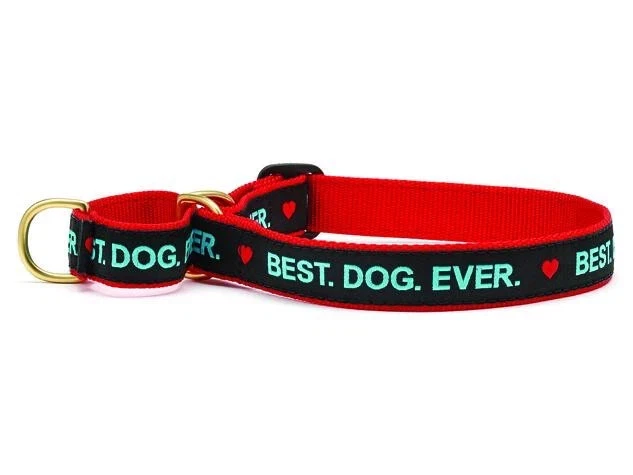 Up Country 狗 Martingale 领,有史以来最好的狗可调节 美国制造 XL 20-25 — 第 1/1 张图片