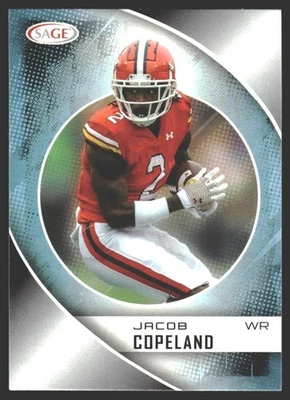 Jacob Copeland #31 2023 SAGE HIT Florida Gators - Image 1 of 2