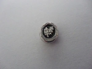 C5)  Bundeswehr Einzelkämpfer Pin EGB Jagdkommando - Picture 1 of 2