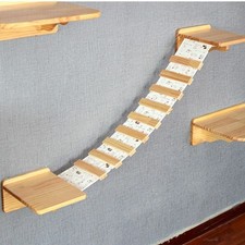 border collie ee red