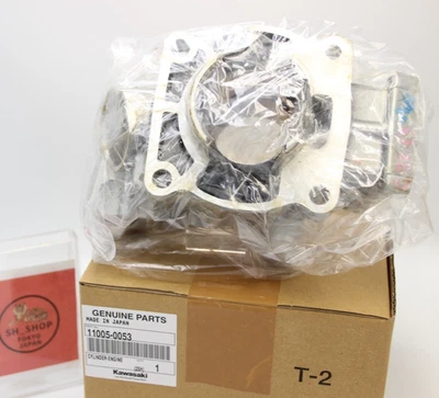 Ciclín de motor genuino KAWASAKI 11005-0053 apto para 2006-2013 KX100 Foto 1 de 4