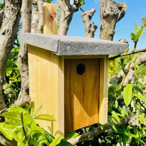 DARLUX Natur Holz Nistkasten für Kohlmeise u. kleine Singvögel Ø 32 mm - Bild 1 von 5