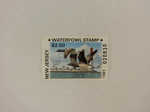 Estampilla de aves acuáticas de Nueva Jersey - 1991 - Atlantic Brant - Estampillada sin montar o nunca montada - Imagen 1 de 2