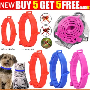 Collar de cuello ajustable antipulgas y garrapatas para perro mascota gato 8 meses - Imagen 1 de 30