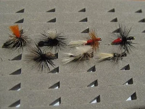 21 hormigas surtidas. Con muerte. Pesca a mosca. FLY FISHING (10) - Imagen 1 de 9