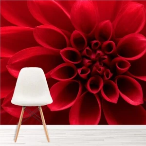 Red Dahlia Flower Wall Mural Wallpaper WS-42315 - Picture 1 of 12