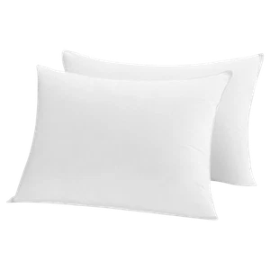 2-Pack: Park Hotel Luxury White Down Feather Pillow (Queen) - Picture 1 of 3