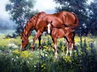 Mare and pony oil painting Giclee Art Printed on canvas L2155