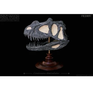REBOR Oddities Estudios Fósiles Ceratosaurus Dentisulcatus Museo Clase Cráneo - Imagen 1 de 3