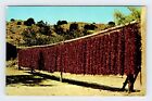 Chili Peppers Out to Dry Vintage Postcard BRY25