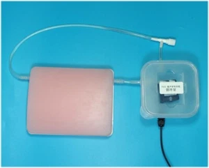 Ultrasound-Guided Vascular Puncture Training Model - Medical Simulation Tool - Picture 1 of 8