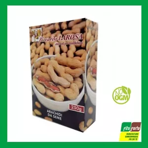 ARACHIDI DA SEME CONFEZIONE DA 250 GR SEMI LEGUMI SEMINA ARACHIDE NO OGM - Foto 1 di 2