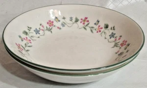 Juego de 2 cuencos multiusos Royal Doulton Florentina 7" L31C - Imagen 1 de 5