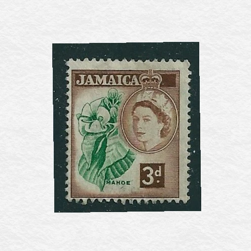 1956 - Jamaica Mahoe Flower 3d Stamp Used Sg#JM 163 - Image 1 of 1