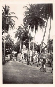 Ivory Coast - GRAND-BASSAM - Coconut palm avenue - Photo A. Robillard - Publ. Li - Picture 1 of 2