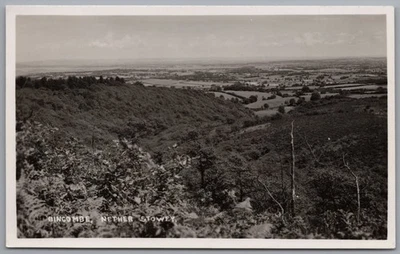 BINCOMBE - Dorset Landscape Real Photo RPPC  Postcard - Image 1 of 2