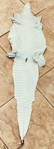 American Alligator Hide 4' Seaglass Matte 31 cm WHOLE Real Genuine  0096-F3 - Picture 1 of 12