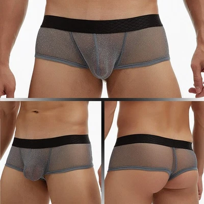 Sexy Para Hombres Calzoncillos Malla Transparente Bolsa Grande Boxer Ropa Interior Suave Transpirable Tanga Foto 1 de 4