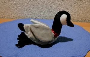 TY Beanie Baby LOOSY Goose Beanie Baby 1998 Swing Tag Gasport Error - Picture 1 of 12