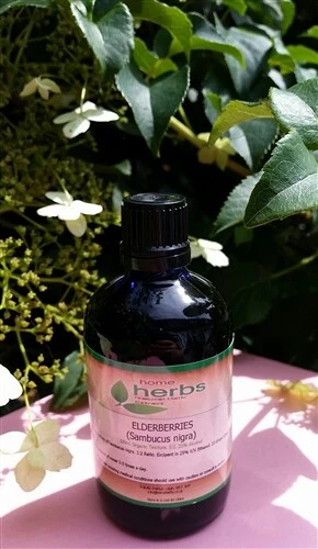 HOME HERBS Organic Elderberry Fruit (Sambucus nigra) 1:2 Ratio - 100ml Herbal Tincture