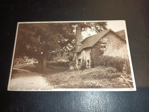 Old Walnut Tree, BOSSINGTON, Somerset - Picture 1 of 2