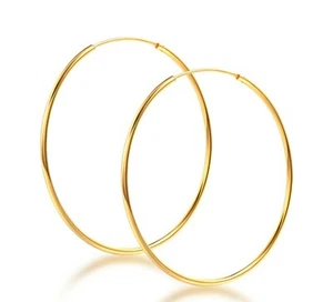 18K Gold Polished Endless Hinged Hoop 2-mm Tube Earrings - Picture 1 of 37