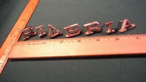 CD49 Buick Riviera Hood Nose Letter Emblems Vintage 1968-69 BUICK RIVIERA - Picture 1 of 2