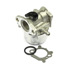 Carburador genuino Briggs & Stratton 799868 497586 498170 498254 BS-1 - Imagen 1 de 1