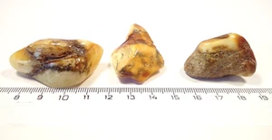 Natural Baltic Amber stones polished/egg yolk/butterscotch/white/yellow 21.3 g. - Picture 1 of 10