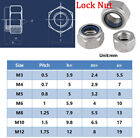 Hex Thin Nut Full Nut Serrated Flange Lock Nut Metric M2-M20 316 Stainless Steel