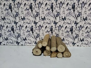 1/12th scale dolls house large tree log stack. 10 Logs Seasoned π - Picture 1 of 2