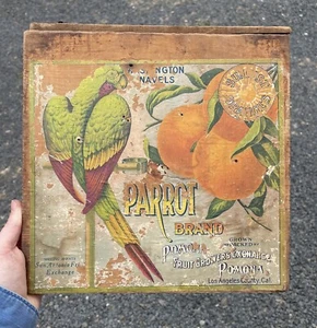 RARA antica cassa frutta marca pappagallo Sunkist arancione etichetta agrumi arte originale - Foto 1 di 12