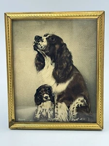 Vintage gerahmter GOES Litho Hundedruck Spaniel und Welpe - Bild 1 von 11