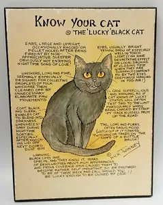 Know your Cat the Lucky Black Cat wall hanging plaque - Picture 1 of 12