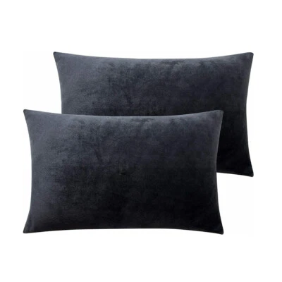 Fundas de almohada de lujo de terciopelo con cremallera Queen King ultra suaves acogedora funda de almohada 2 piezas Foto 1 de 4