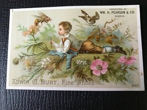 1800's Edwin C Burt Young Boy Laying in Dandelion Field Victorian Trade Card 