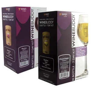 Youngs WineBuddy 30 Bottle Merlot & Pinot Grigio 2 Pack Deal - Picture 1 of 1