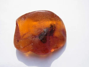 Schöner Butterscotch Egg Yolk Amber Bernstein aus Bernsteinsammlung 22,1  Gramm - Bild 1 von 8