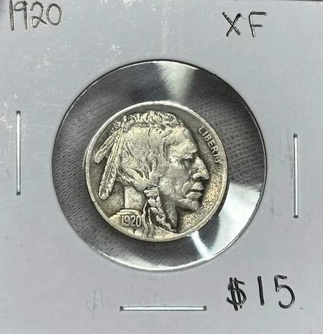 1920 P Buffalo Nickel XF - Strong Coin! Cover
