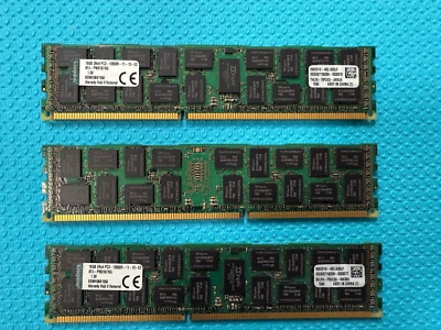 Kingston DDR3-RAM 16GB PC3-12800R ECC 2R Server-Speicher (SL16D316R11D4KF) - Bild 1 von 2
