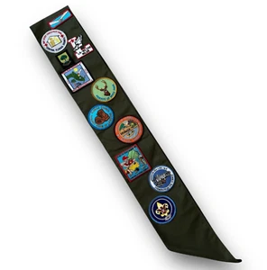 Central Florida Council Boy Scout Sash with 16 Patches 1990's - Picture 1 of 10