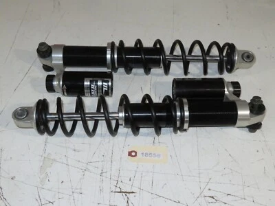 Polaris - 2018 Pro Rmk 800 163 FRONT SHOCKS PAIR	16.75" 7044302 - Imagem 1 de 3