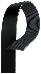 V-Ribbed Belt GATES 12PK1375HD for MERCEDES-BENZ ANTOS 10.677 2012-2018 - Picture 1 of 6