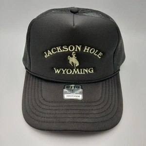 Jackson Hole Wyoming Hat Advertising Cap Snapback Black Rope Mesh Cream Script - Picture 1 of 24