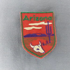 Arizona Cactus Vaca Calavera 2 3/4" Parche Recuerdo AZ Insignia Emblema Estado Desierto - Imagen 1 de 2