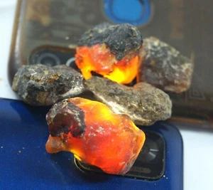Lote de 5 piezas de muestras de ámbar báltico de miel natural de 87,65 quilates certificadas en bruto - Imagen 1 de 3
