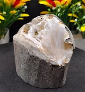 Natural Apophyllite Zeolite Crystal - Healing Energy - Collectible Specimen 253G - Imagen 1 de 12